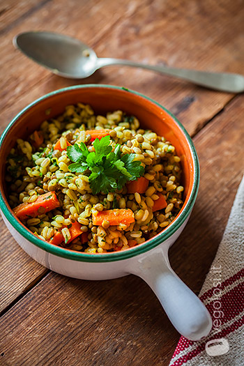 Insalata Di Orzo Perlato E Verdure Vegolosi It