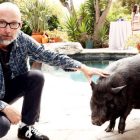 moby casa in vendita per gli animali